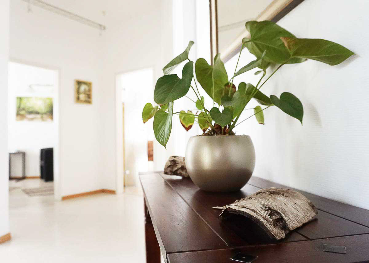 Beispielfoto aus der Kategorie Businessfotografie