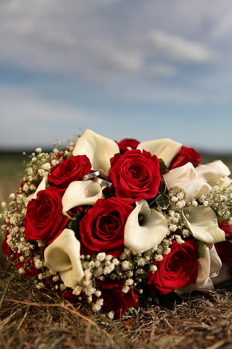 Galeriebild aus der Kategorie Hochzeiten