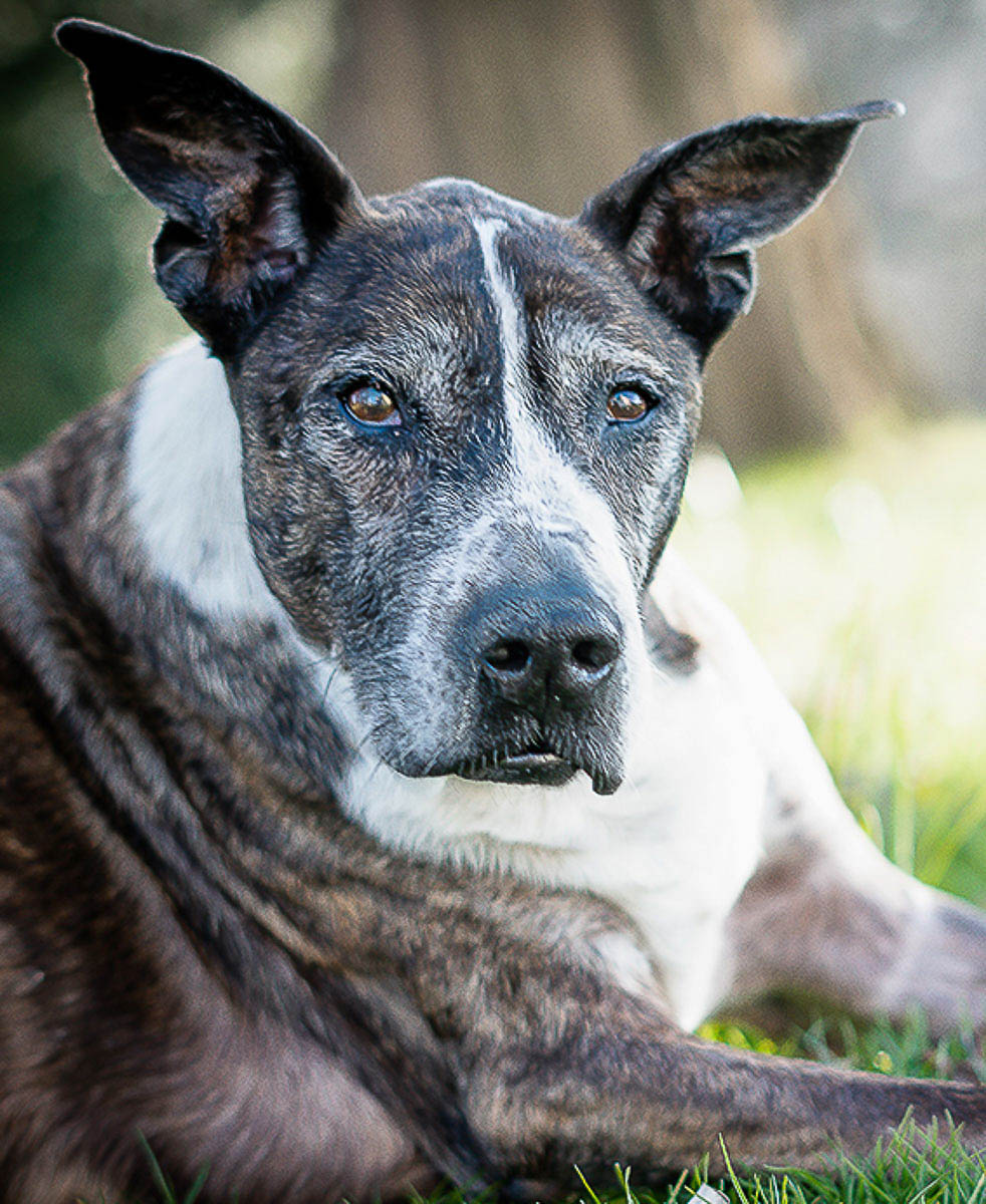 Galeriebild aus der Kategorie Regenbogen