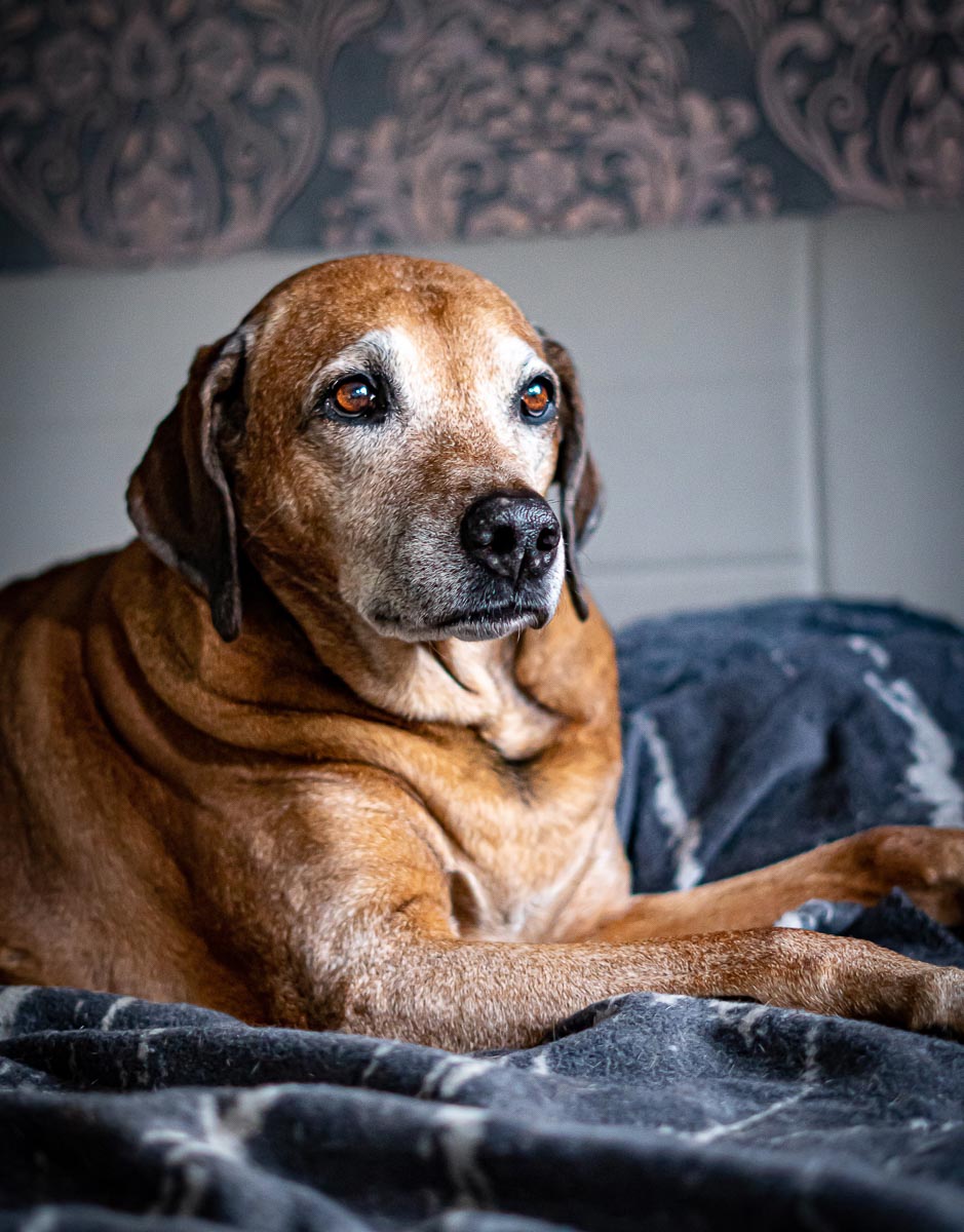 Galeriebild aus der Kategorie Regenbogen
