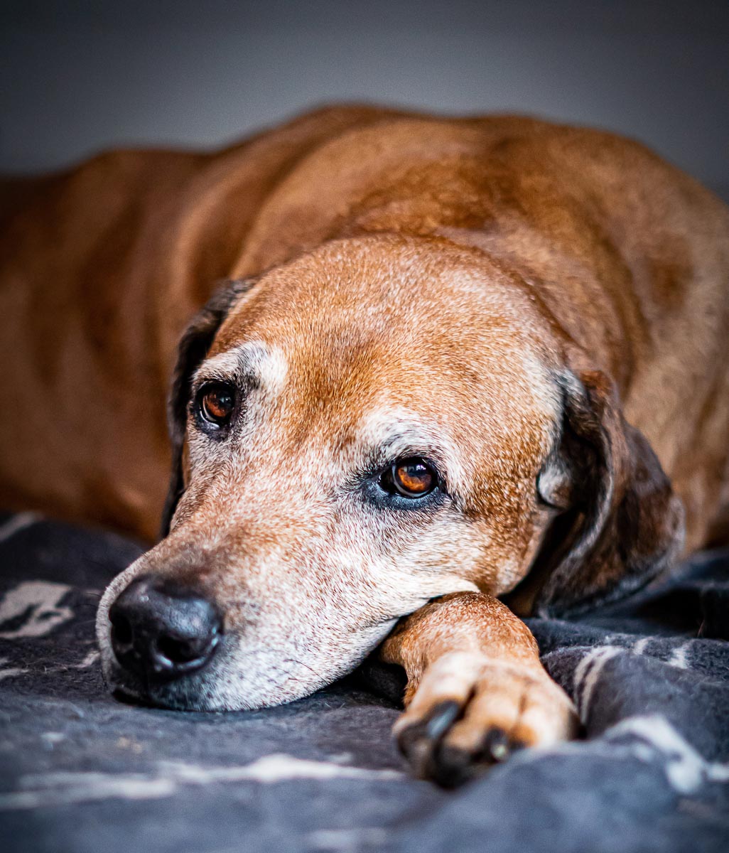Galeriebild aus der Kategorie Regenbogen
