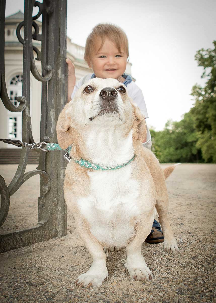 Galeriebild aus der Kategorie Tiere
