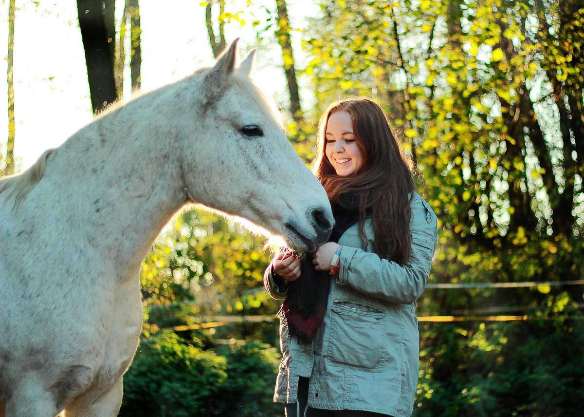 Galeriebild aus der Kategorie Tiere