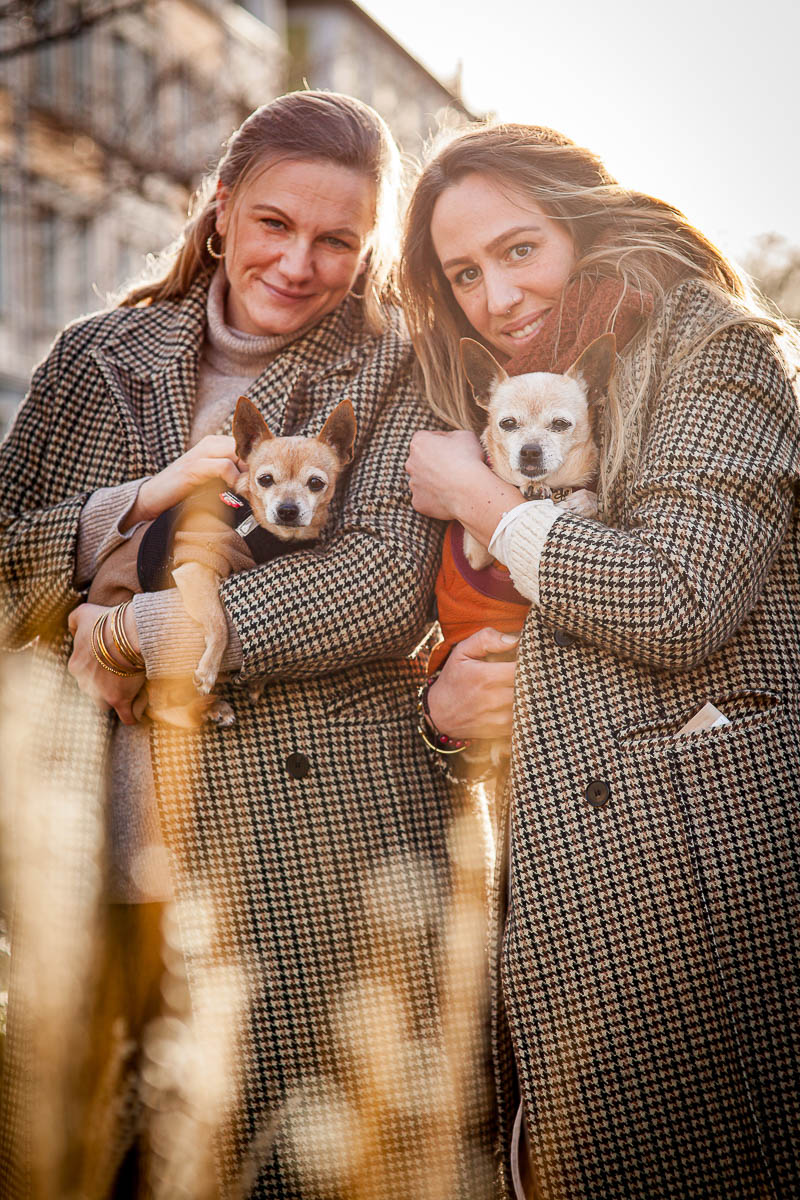 Galeriebild aus der Kategorie Tiere