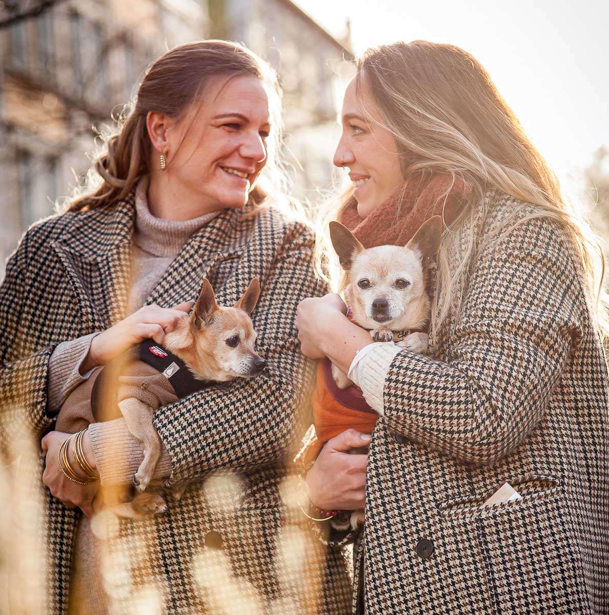 Galeriebild aus der Kategorie Tiere