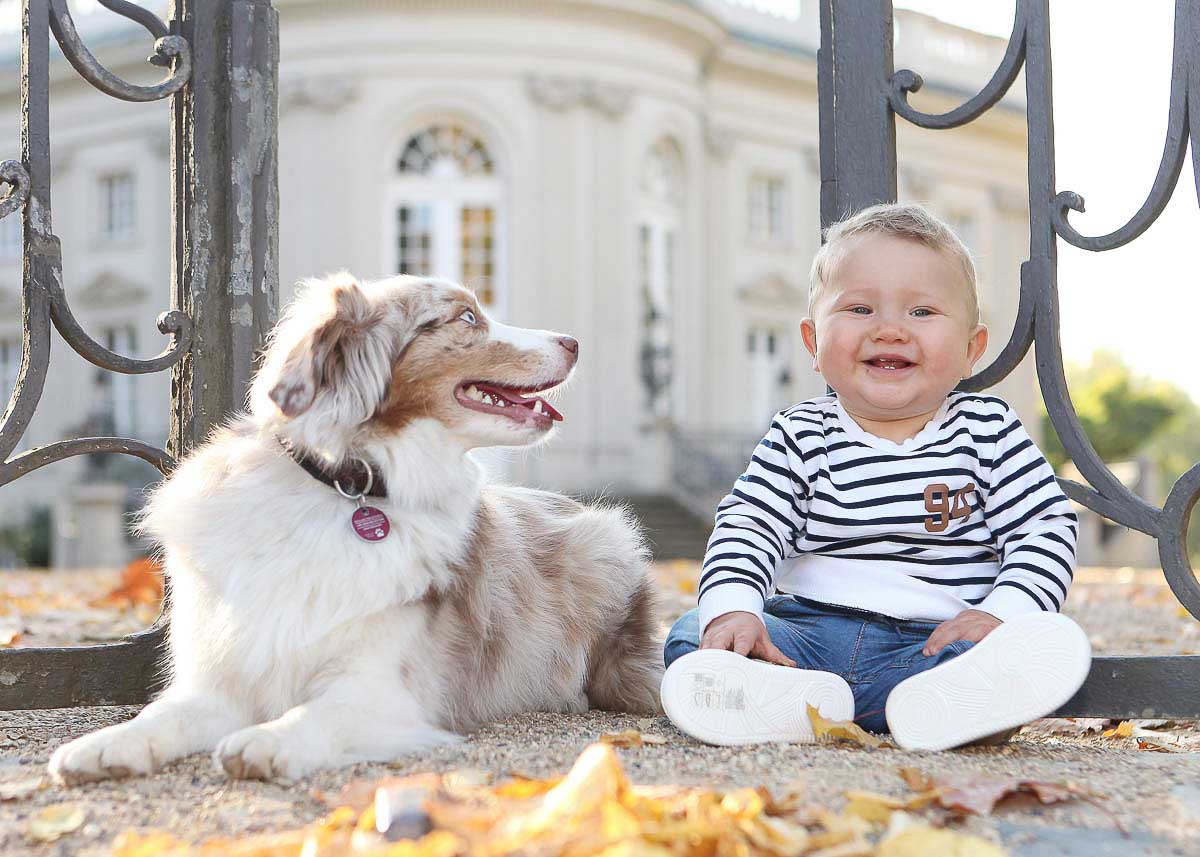 Galeriebild aus der Kategorie Tiere