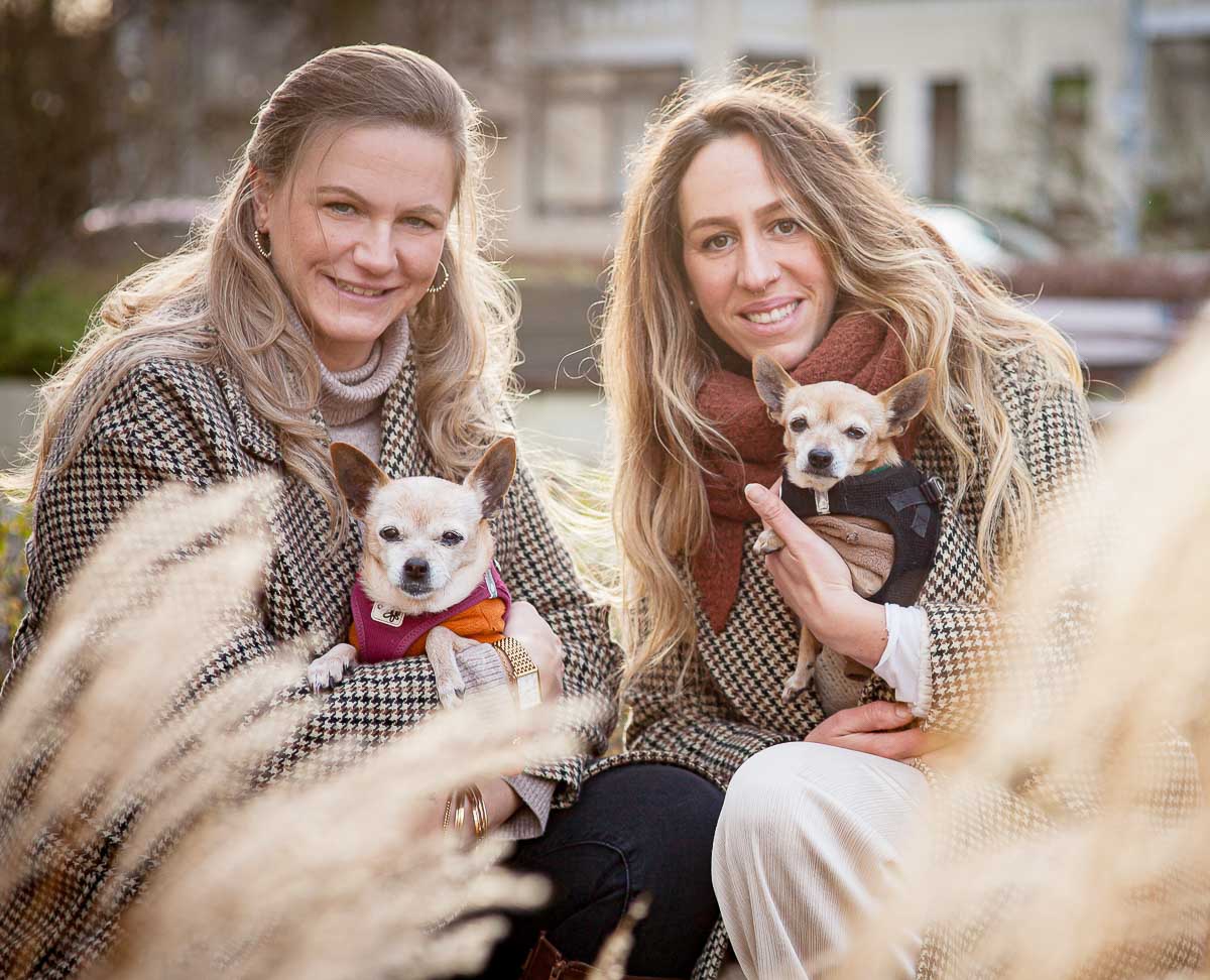 Galeriebild aus der Kategorie Tiere