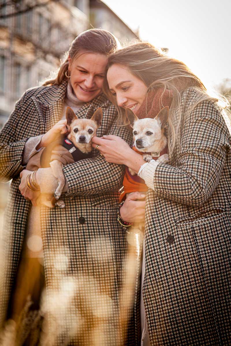 Galeriebild aus der Kategorie Tiere