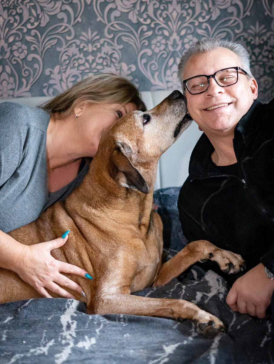 Galeriebild aus der Kategorie Tiere