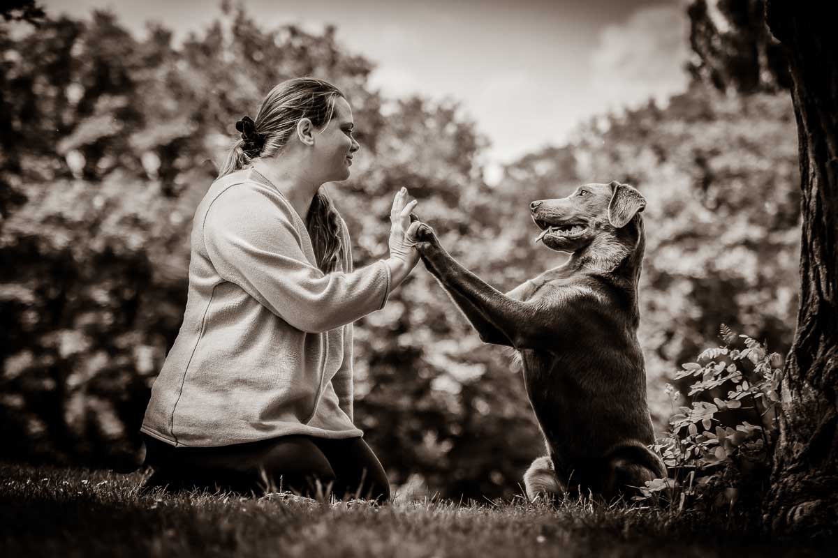 Galeriebild aus der Kategorie Tiere