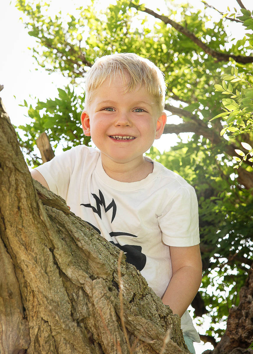 Galeriebild aus der Kategorie Familien