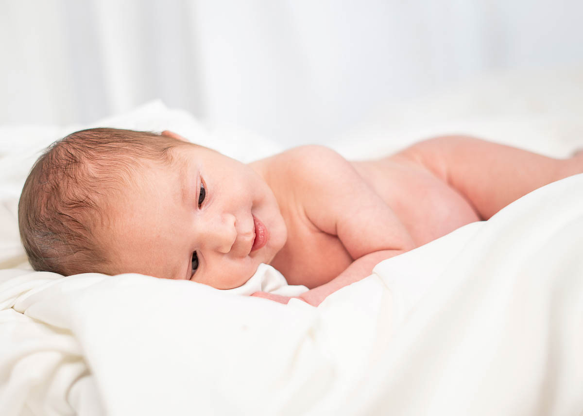 Galeriebild aus der Kategorie Frisch geschlüpft