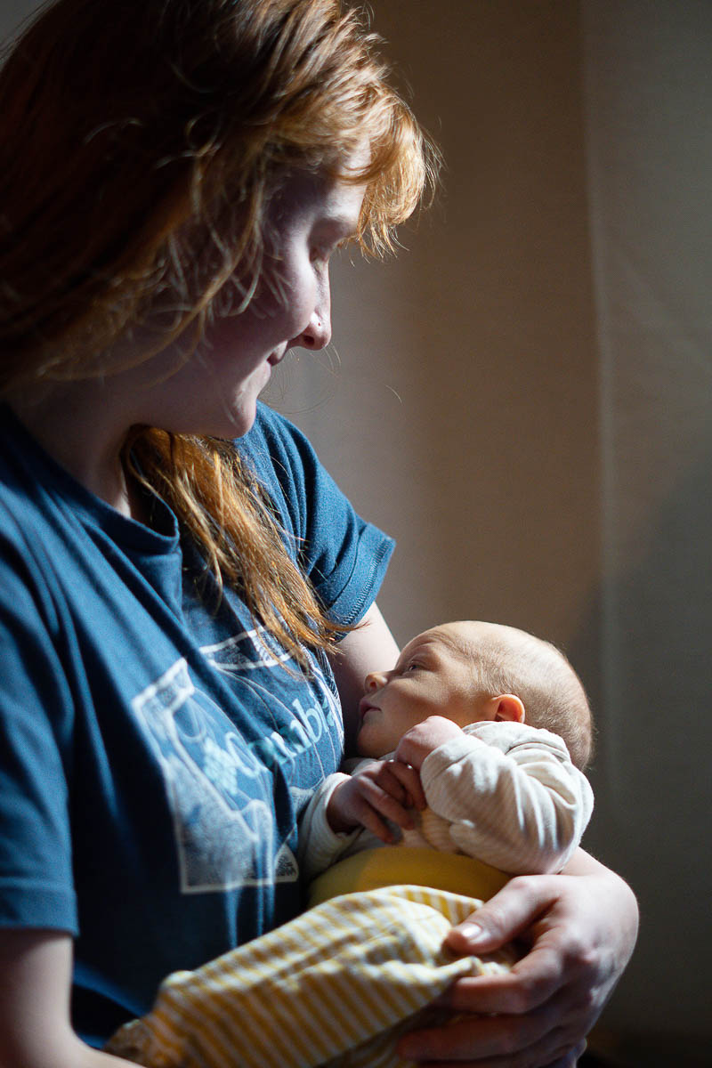 Galeriebild aus der Kategorie Frisch geschlüpft