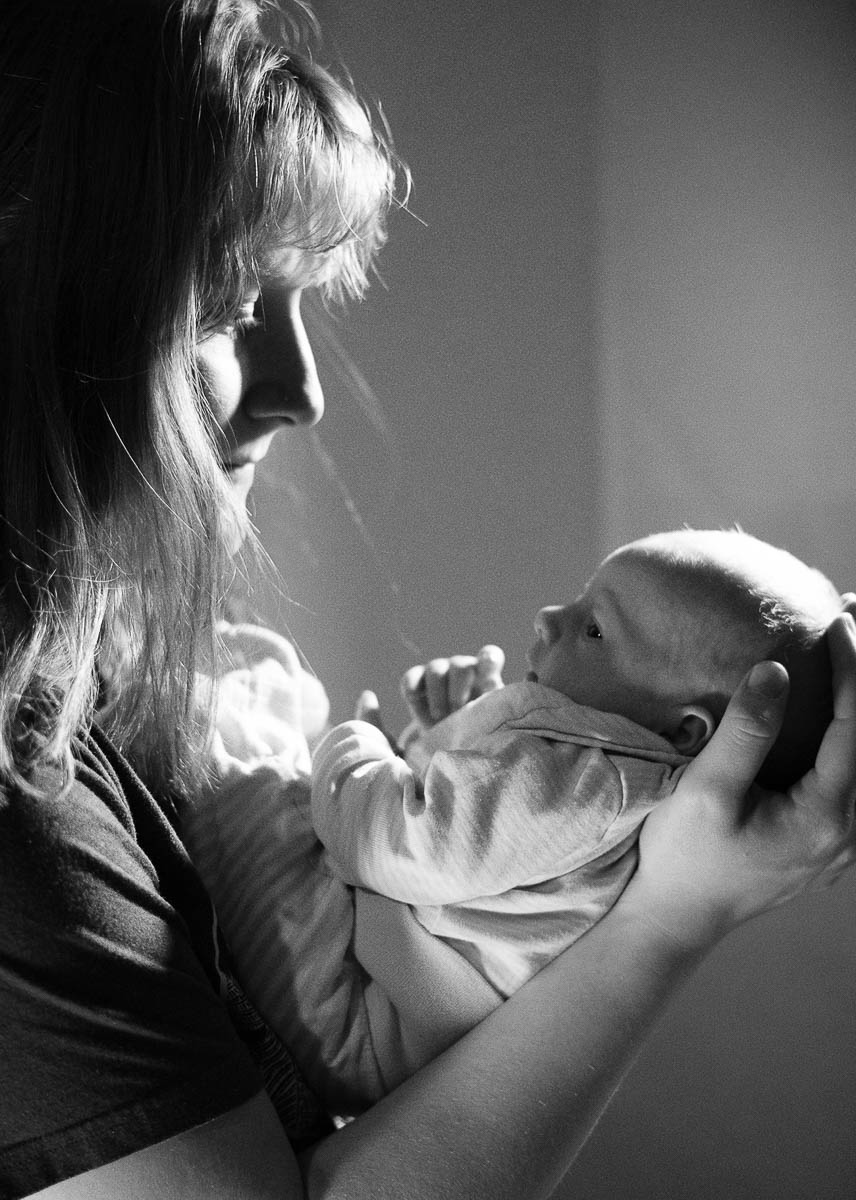 Galeriebild aus der Kategorie Frisch geschlüpft