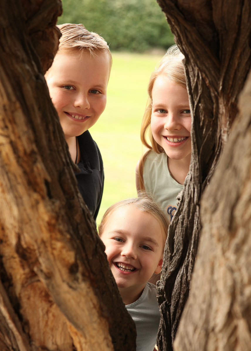 Galeriebild aus der Kategorie Schulen und Kindergärten