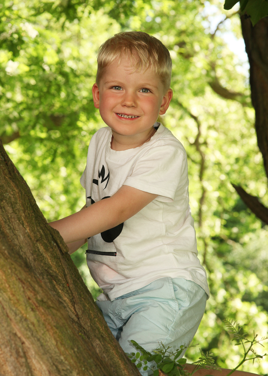 Galeriebild aus der Kategorie Schulen und Kindergärten