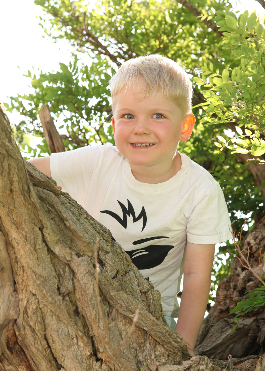 Galeriebild aus der Kategorie Schulen und Kindergärten