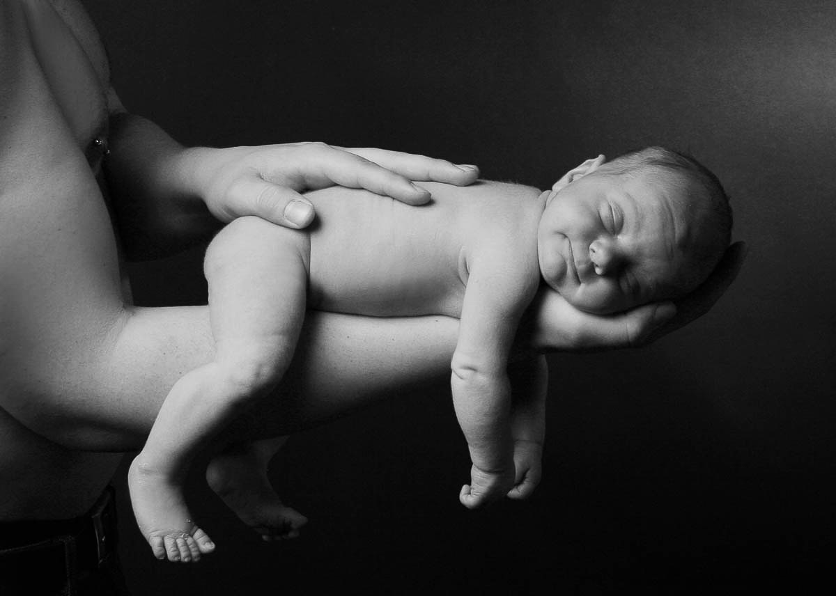 Galeriebild aus der Kategorie Frisch geschlüpft