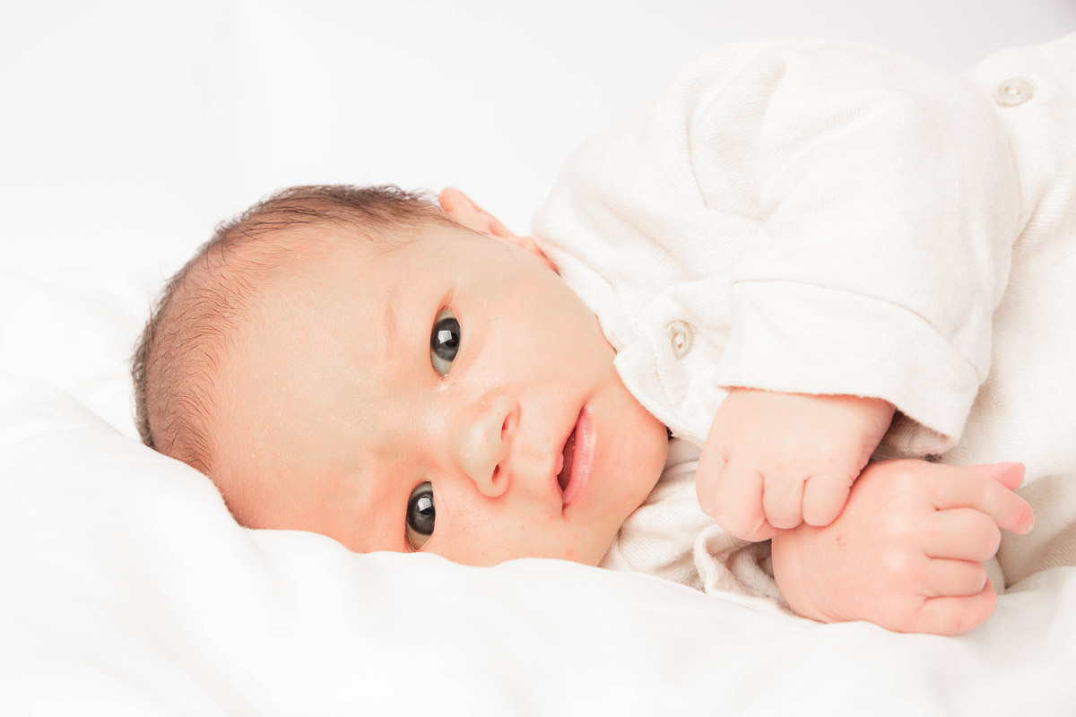 Galeriebild aus der Kategorie Frisch geschlüpft