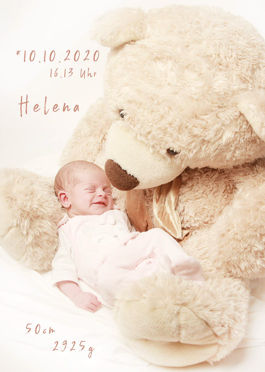 Galeriebild aus der Kategorie Frisch geschlüpft