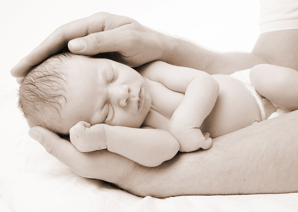 Galeriebild aus der Kategorie Frisch geschlüpft