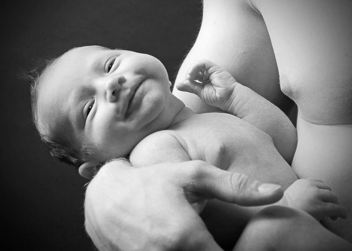 Galeriebild aus der Kategorie Frisch geschlüpft