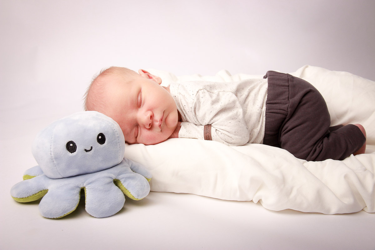 Galeriebild aus der Kategorie Frisch geschlüpft