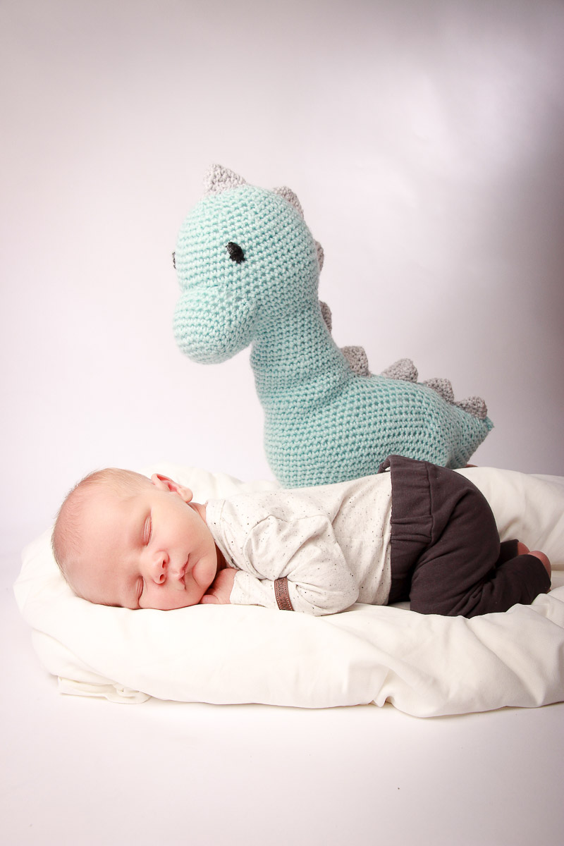 Galeriebild aus der Kategorie Frisch geschlüpft