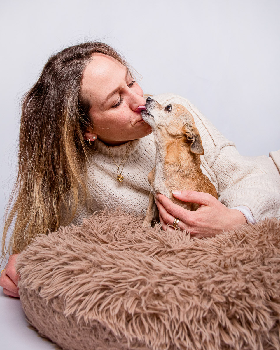 Galeriebild aus der Kategorie Tiere