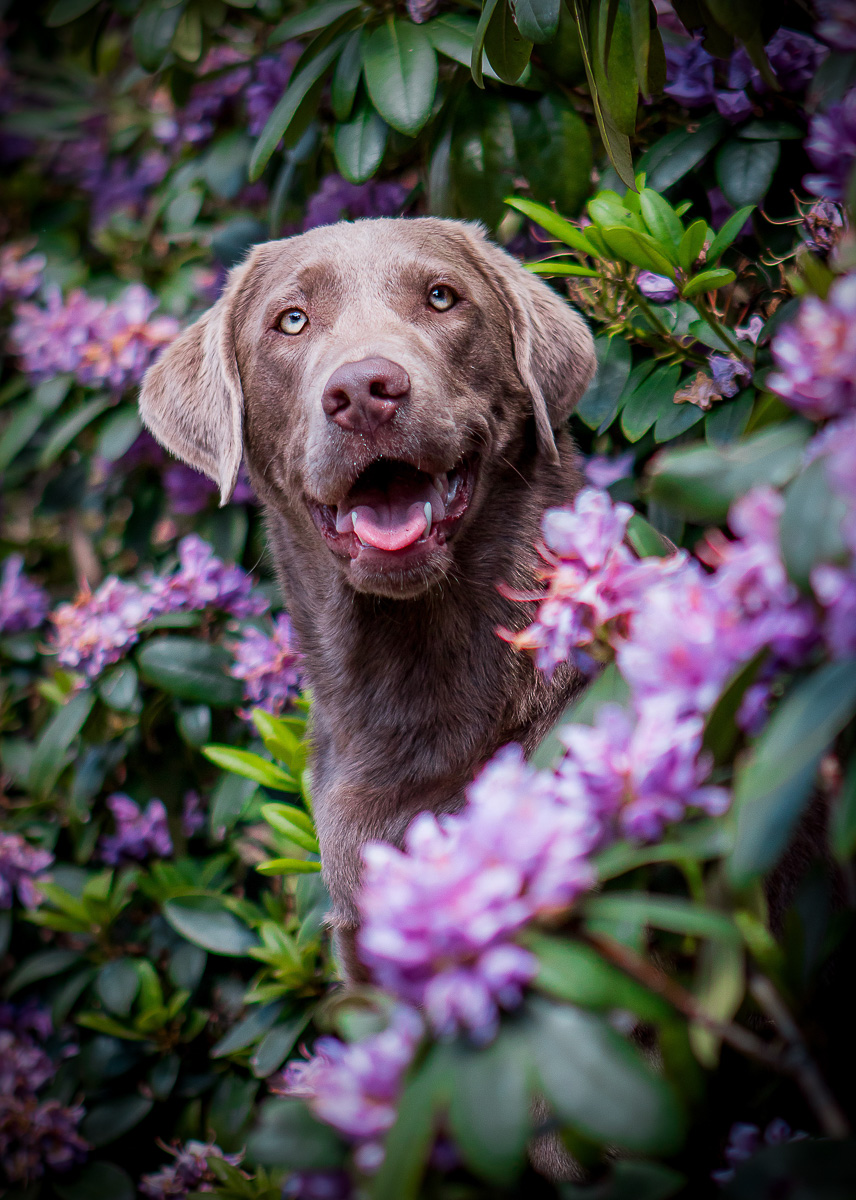 Beispielfoto aus der Kategorie Willkommensseite
